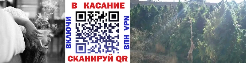 Продажа наркотиков Мончегорск Кокаин  Alpha-PVP  Галлюциногенные грибы  Мефедрон  Канабис 