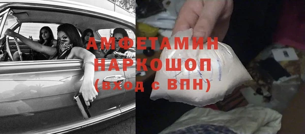 шишки Заводоуковск