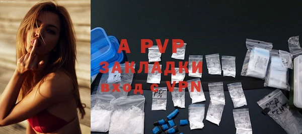 шишки Заводоуковск