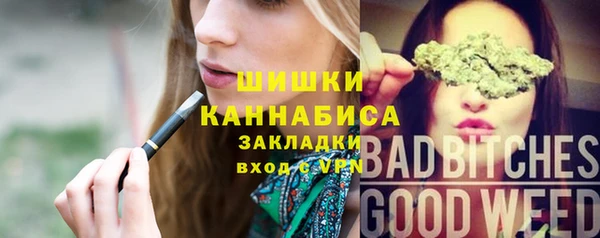 шишки Заводоуковск