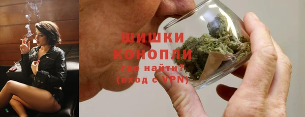 шишки Заводоуковск