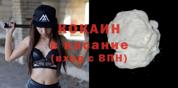 шишки Заводоуковск