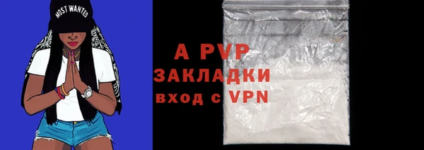 шишки Заводоуковск