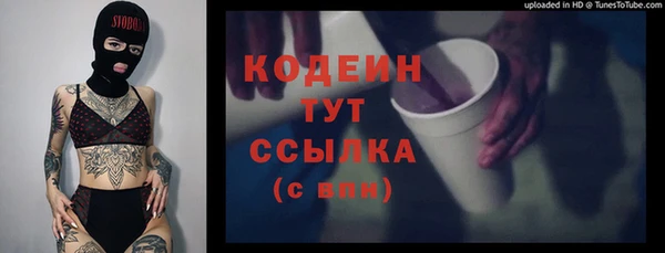 шишки Заводоуковск