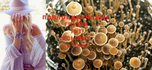 мяу мяу мука Заволжье