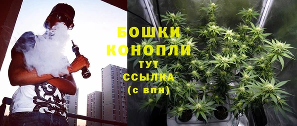 сатива Заволжск