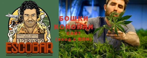 сатива Заволжск