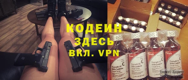 шишки Заводоуковск