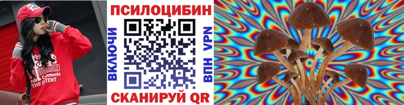 Галлюциногенные грибы Cubensis Мончегорск